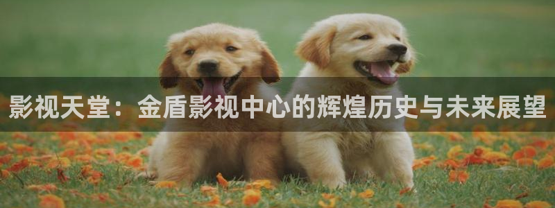 樱花影院理论片