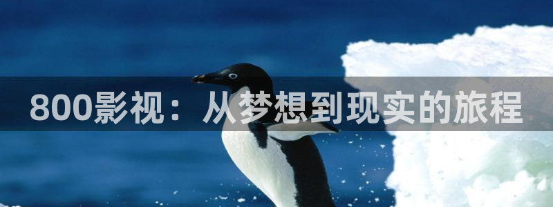 樱花影视热播剧有哪些