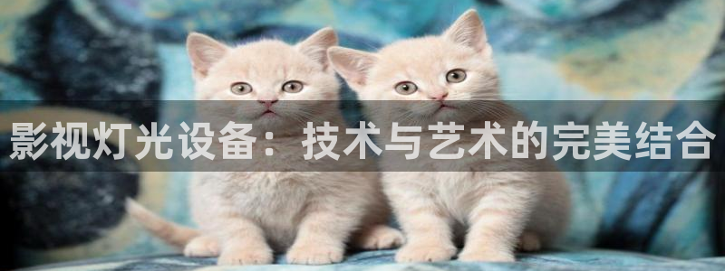 樱花视频大全免费观看