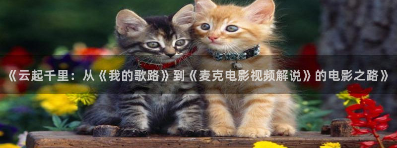 下载樱花视频