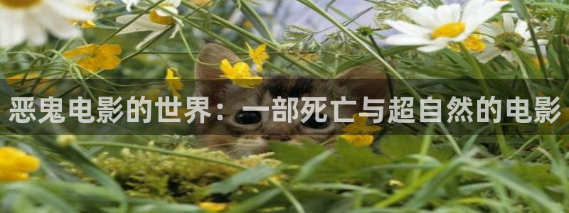 樱花影院免费观看电视剧