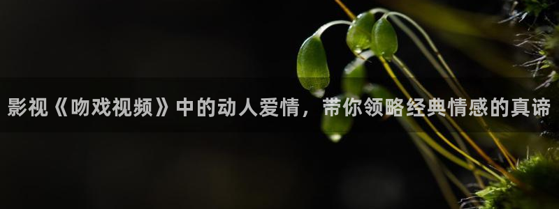 樱花视频yh
