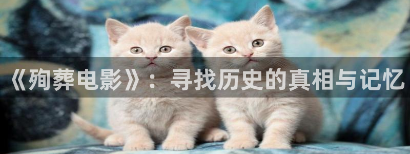 樱花视频好爽
