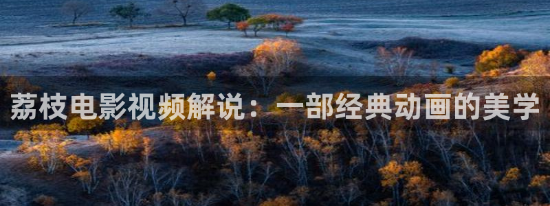 樱花视频素材下载