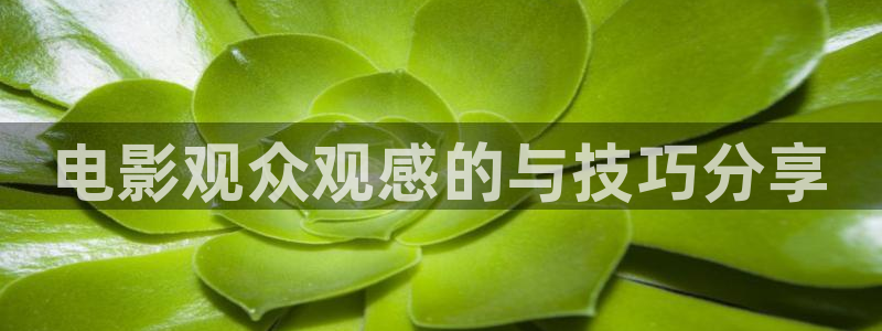 樱花视频m