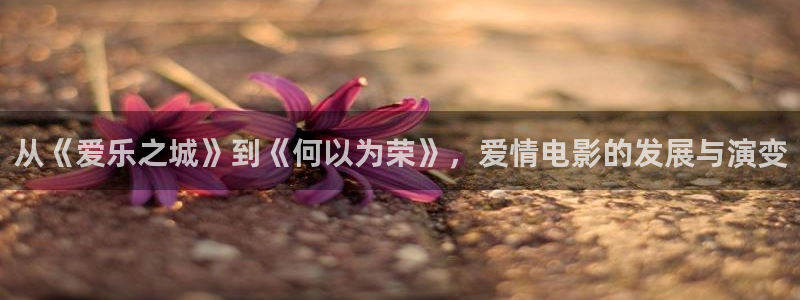 樱花视频电视剧高清免费观看