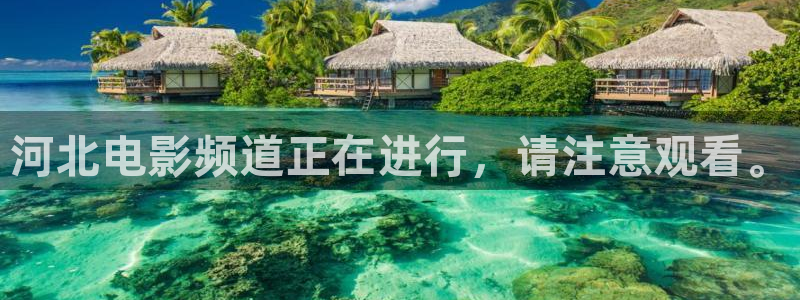 樱花影业