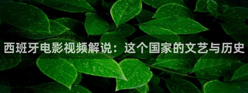 关于樱花视频