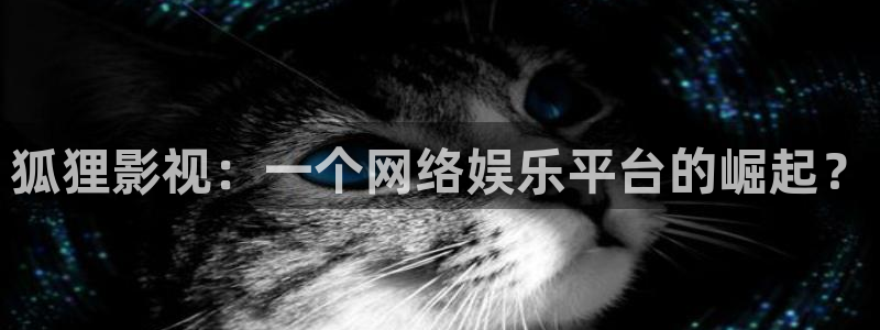樱花影视一区