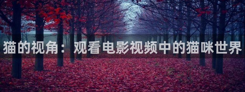 樱花影视免费看电视剧
