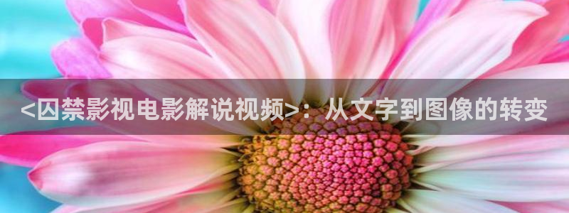 樱花视频app下载安装