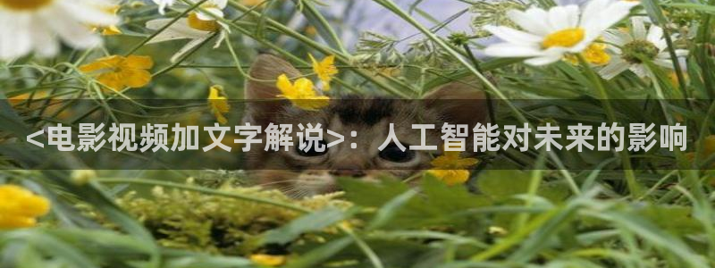 樱花影院免费观看电视剧高清