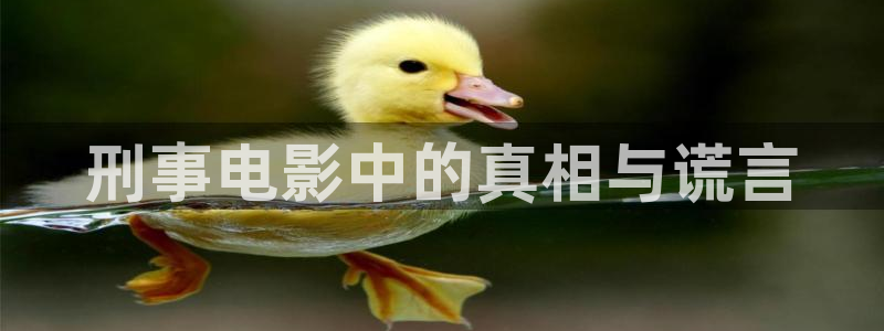 樱花视频主页