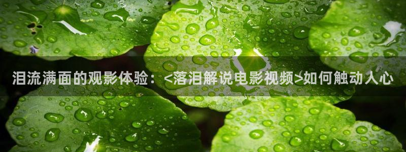 樱花视频无：泪流满面的观影体验：<落泪解说电影视频>如何触动人心