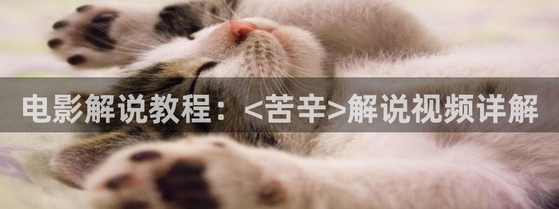 樱花视频在线观看免：电影解说教程：<苦辛>解说视频详解