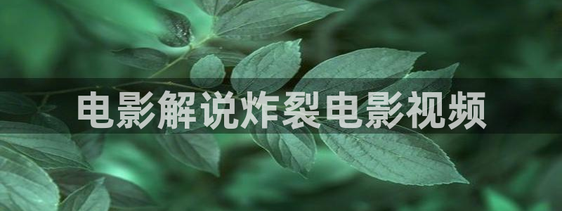 樱花视频动漫官网：电影解说炸裂电影视频