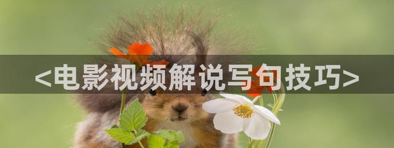 .樱花视频：<电影视频解说写句技巧>