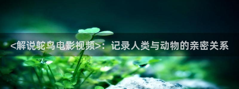 樱花影视网页：<解说鸵鸟电影视频>：记录人类与动物的亲密关系