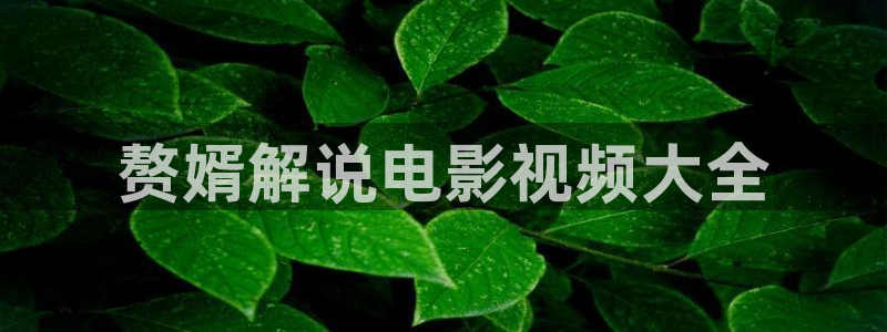 樱花影院经典电视剧免费：赘婿解说电影视频大全