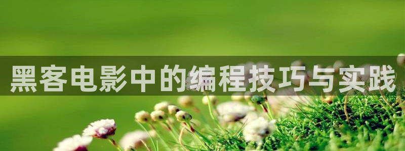 www樱花视频：黑客电影中的编程技巧与实践