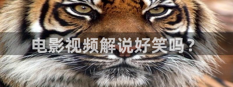 樱花视频免费版高清在线观看：电影视频解说好笑吗？