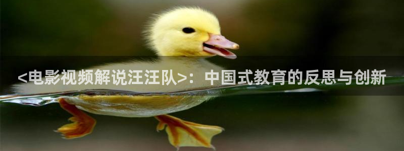 樱花影视伦理：<电影视频解说汪汪队>：中国式教育的反思与创新