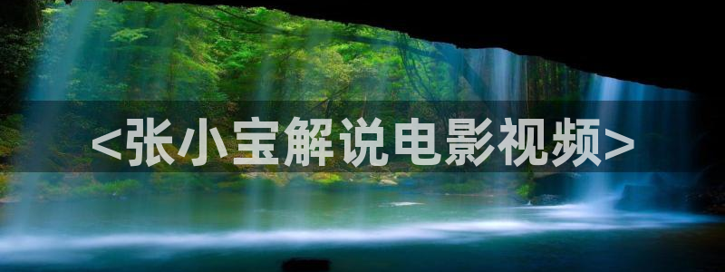 樱花视频.www：<张小宝解说电影视频>