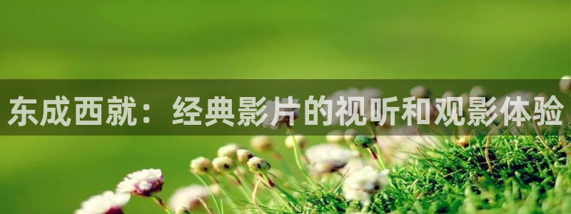 樱花视频大全免费观看电视剧：东成西就：经典影片的视听和观影体验