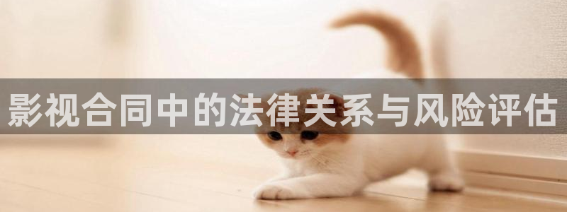 樱花视频在线免费：影视合同中的法律关系与风险评估