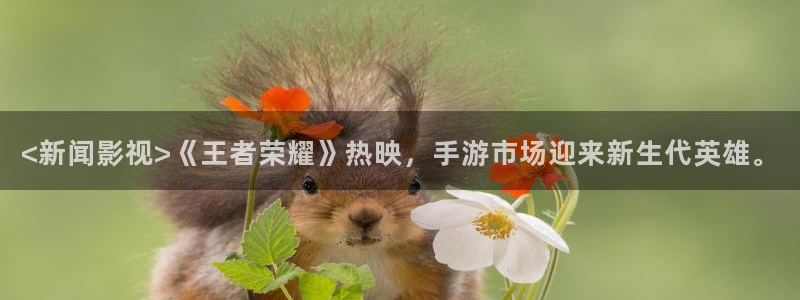樱花视频网站网址