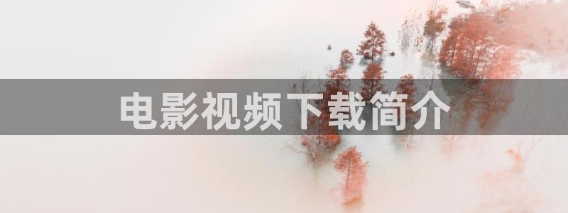 ,樱花视频：电影视频下载简介