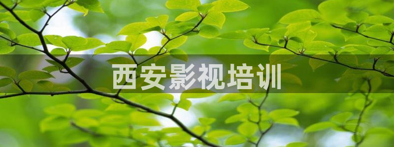 樱花影院热门电影有哪些：西安影视培训