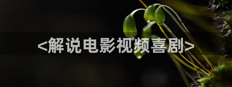 苏樱花视频大全：<解说电影视频喜剧>