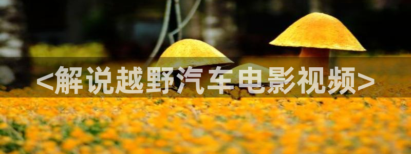樱花视频吗：<解说越野汽车电影视频>