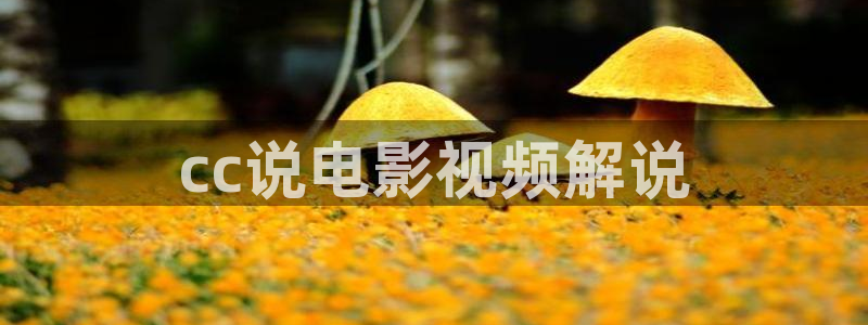 樱花视频在线观看免费完整版