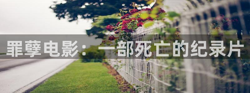 樱花视频在线观看电视剧