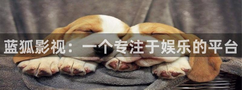 无颜之月樱花视频
