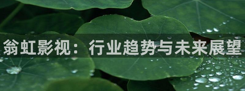 樱花视频日漫