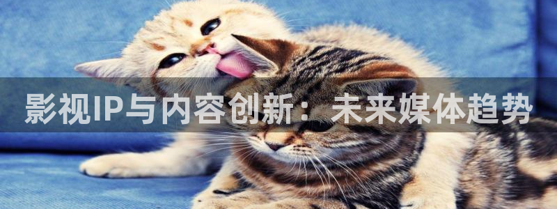 樱花影视最新高清