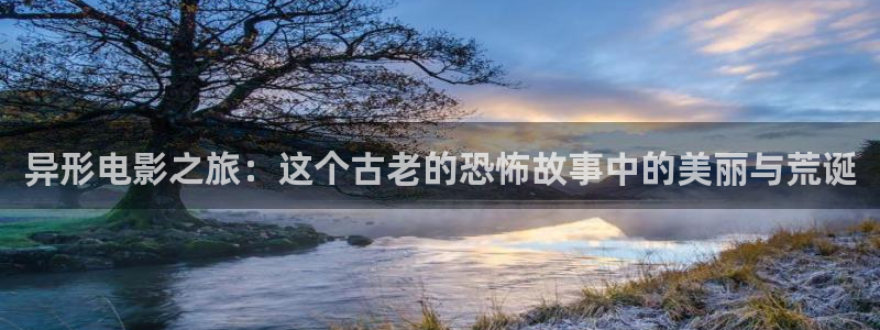 樱花视频高清免费看电视剧
