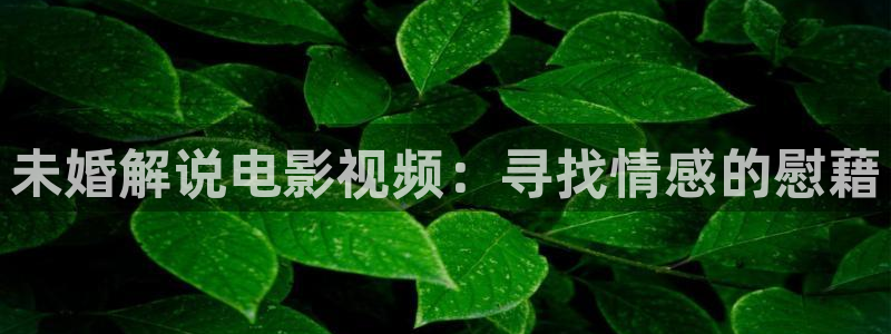 樱花视频成人