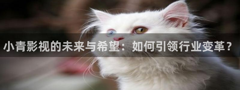 韩国樱花影院经典电视剧免费