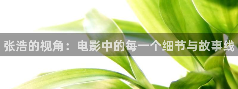 樱花视频免费播放