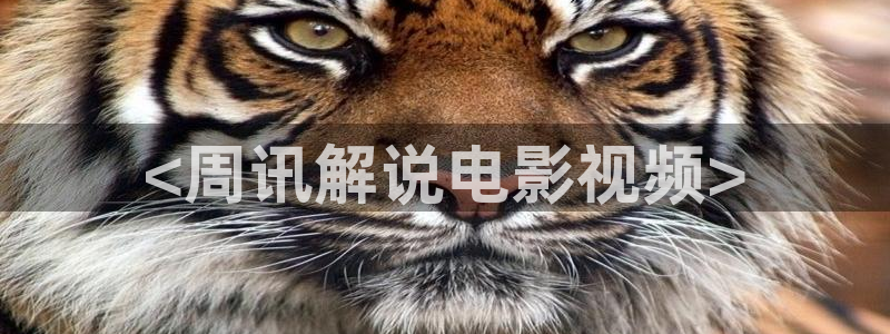 樱花视频怎么下载