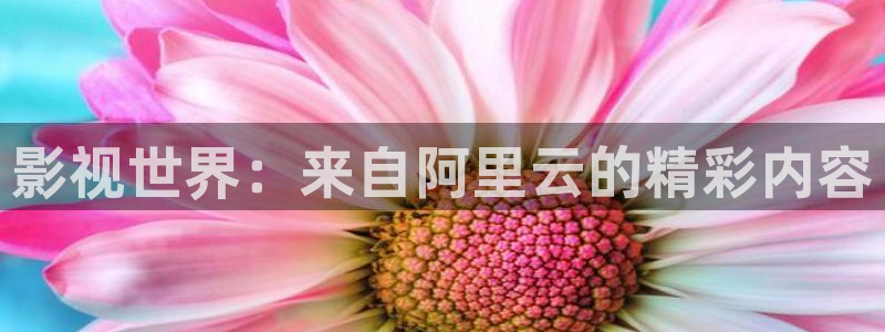 樱花视频最新网址