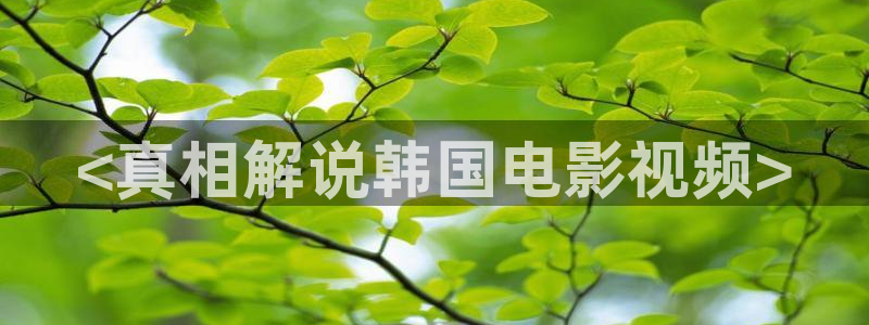 樱花视频热门电视剧