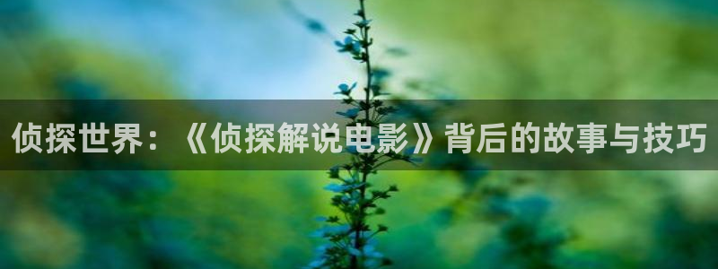 樱花影院电视剧免费看