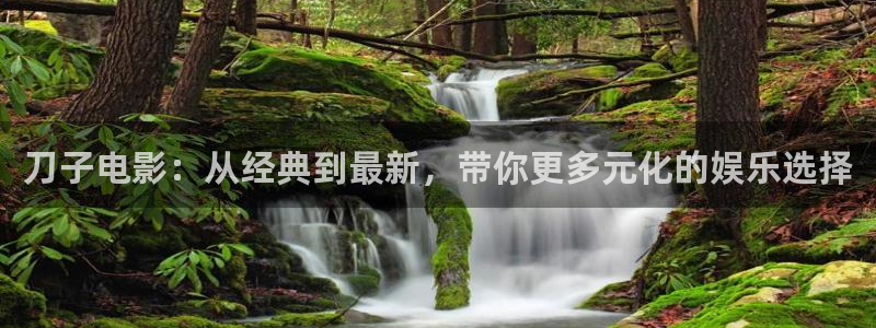 樱花视频国产一区