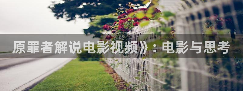 樱花视频怎么下
