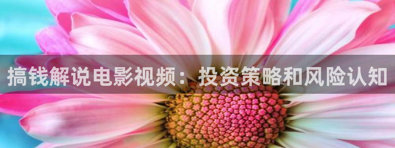 樱花视频真人：搞钱解说电影视频：投资策略和风险认知